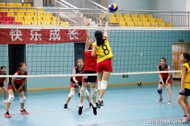 麻将里最难的是放下（打麻将，最难的是学会放下）