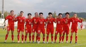 爱尔兰主帅：C罗只是一时冲动；球迷营造了难以置信的氛围