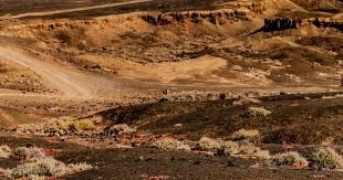 明智抉择？AC米兰意大利杯出局未必坏事，专注单线全力冲击意甲冠军